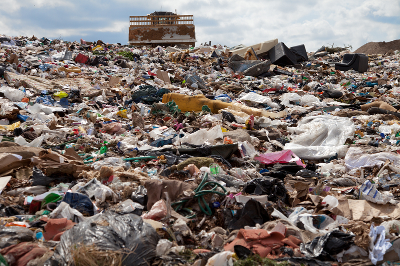 Sustainable Moves for a Waste-Free Home